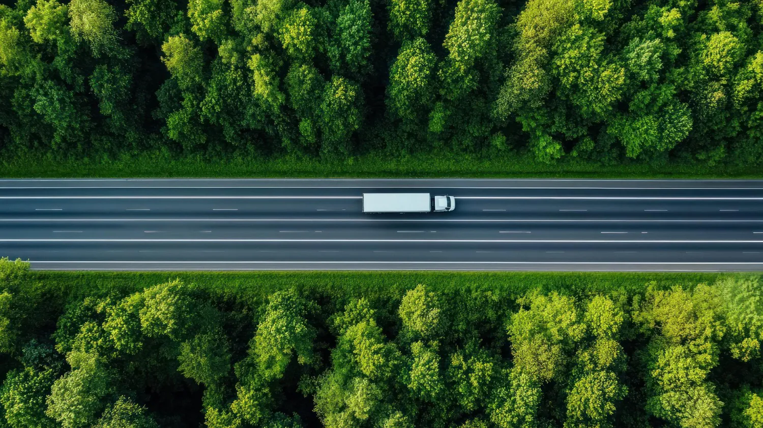 Transporte Terrestre Internacional