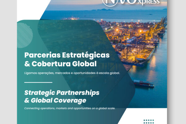 rede logística internacional, international logistics network, red logística internacional